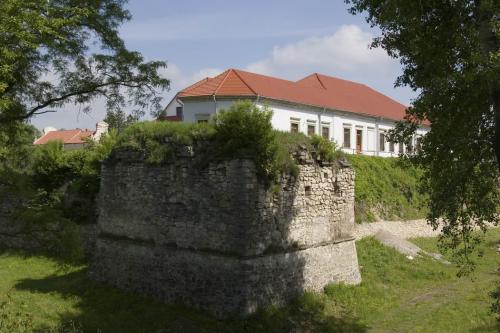 Zbarazh Castle