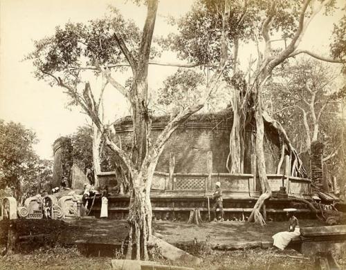 Ruins of Polonnaruwa in colonial times