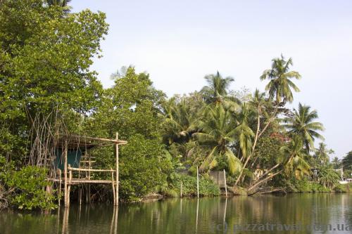 Madu Ganga river banks