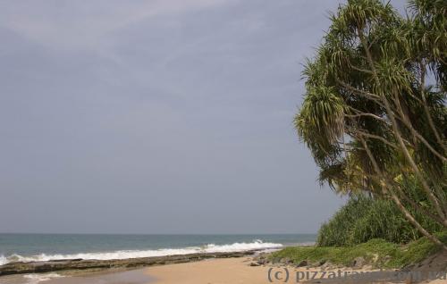 Place where the turtles are released.