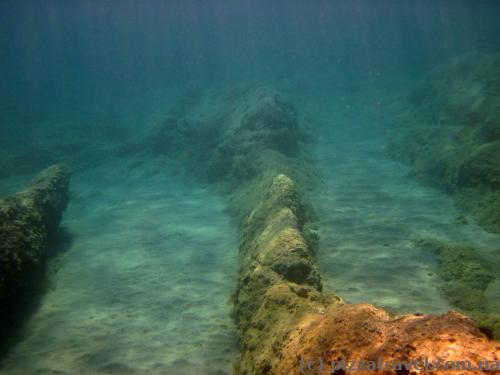 Підводний світ Плаві Горизонті