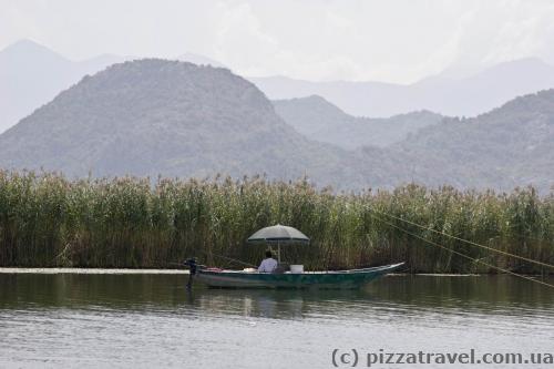 Skadar Lake