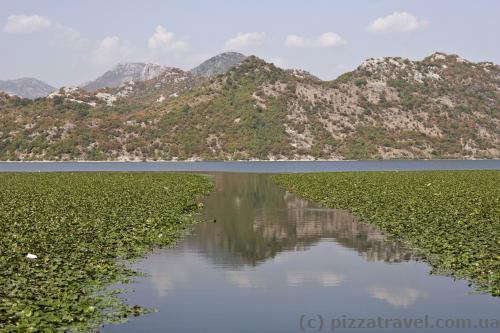 Skadar Lake