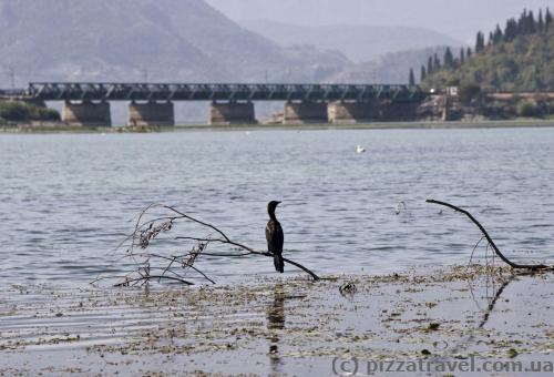 Skadar Lake