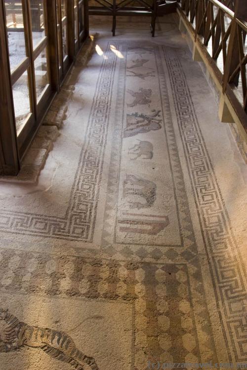 Ancient mosaics in the archaeological park of Paphos 