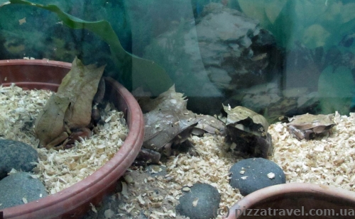 Butterfly Park in Kuala Lumpur