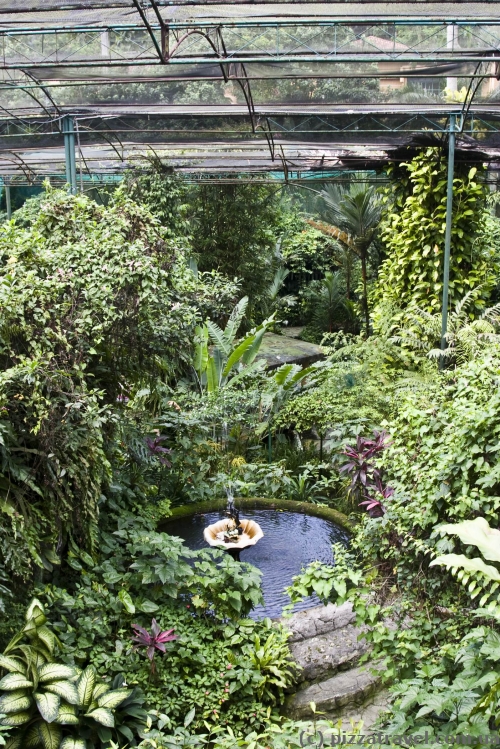 Butterfly Park in Kuala Lumpur