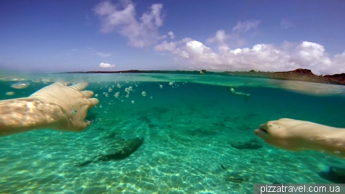 Snorkeling around the Chinese Hat island