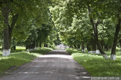 Алея до палацу Мерінга в Старій Прилуці