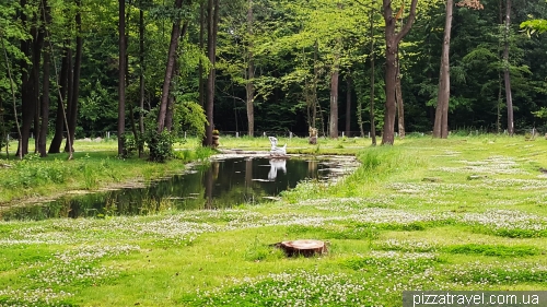 City park in Bucha