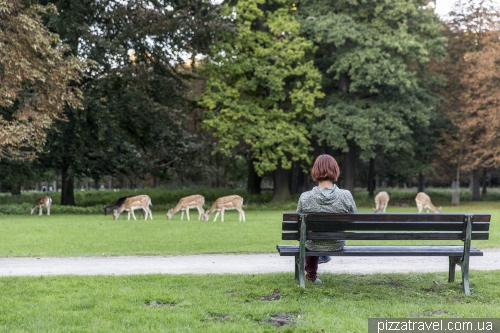 Зоосад в Ганновері (Tiergarten)