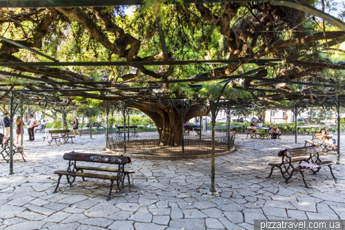 Лиссабон, Jardim do Príncipe Real