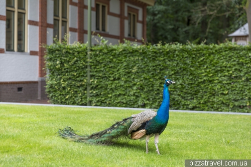 Het Loo Palace