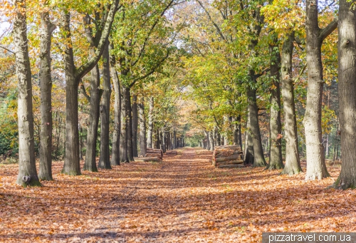 Національний парк Де Хоге Велюве (De Hoge Veluwe)