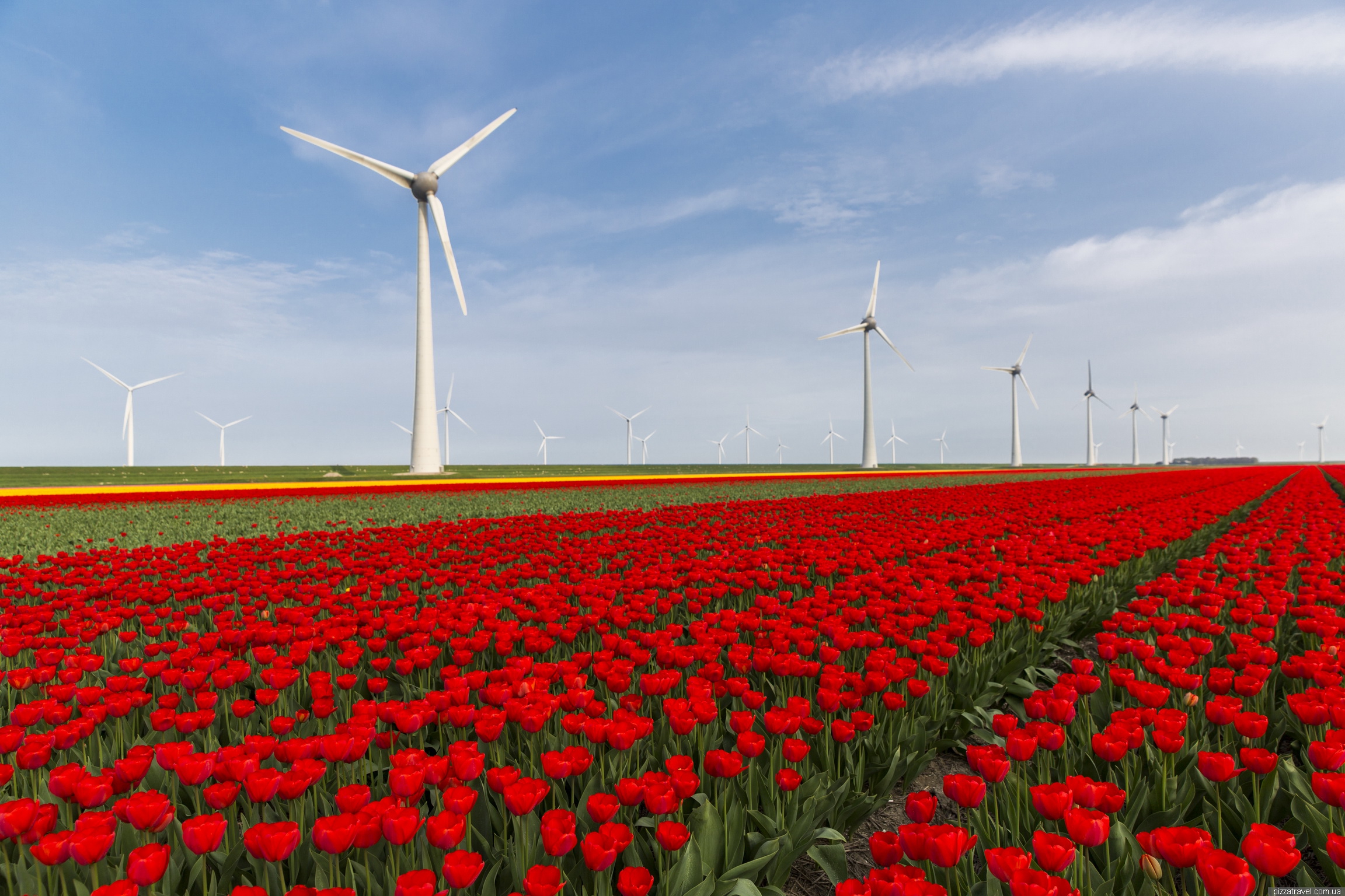 Tulip Festival in the Netherlands Netherlands Blog about