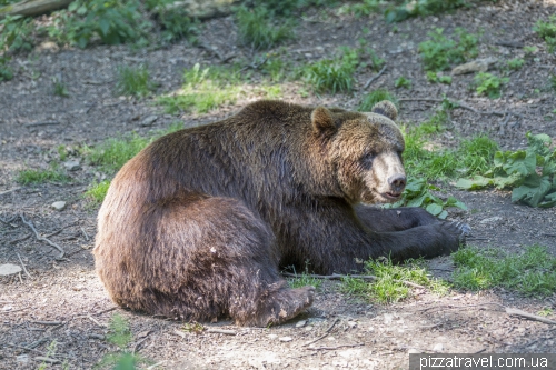 Worbis bear park