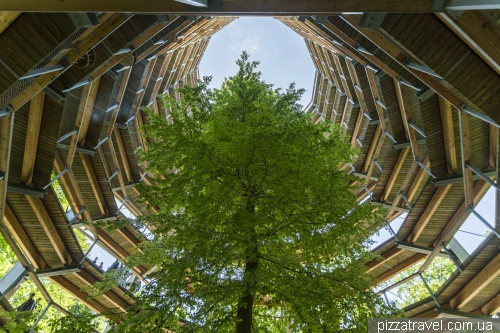 Adlerhorst Observation Deck (Aussichtsplattform Adlerhorst)