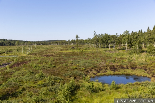 Болото Мекленбрух (Hochmoor Mecklenbruch)