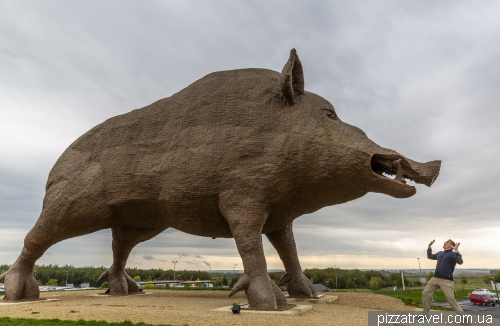 Woinic - the largest wild boar in the world