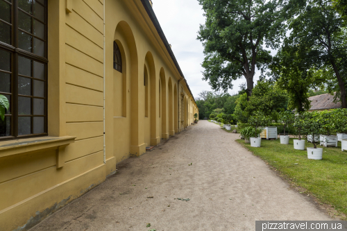 Палац та парк Оранієнбаум (Schloss Oranienbaum)