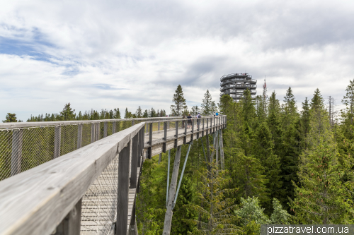 Treetop Walk Bachledka