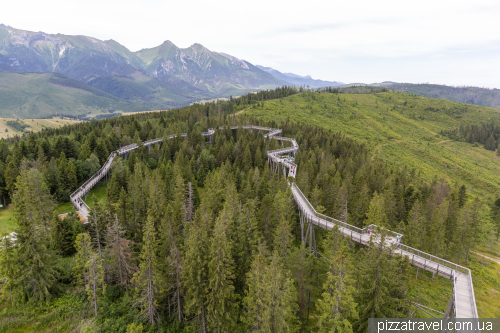 Treetop Walk Bachledka