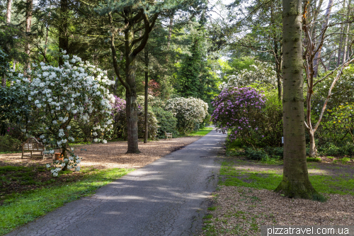 Hobbie Rhododendron Park