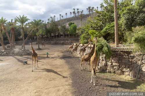 Oasis Wildlife Zoo in Fuerteventura