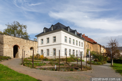 Замок Вільденфельс (Schloss Wildenfels)