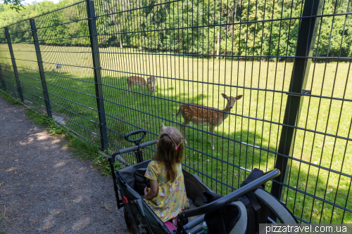 Wildgehege Schwarzwild wildlife park in Göttingen