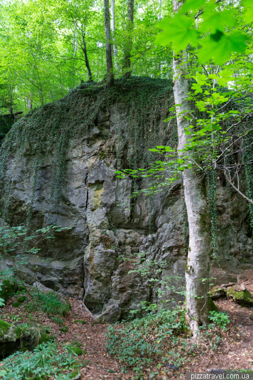 The tower on Mount Iberg (Iberger Turm)
