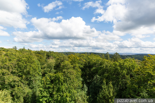 The tower on Mount Iberg (Iberger Turm)