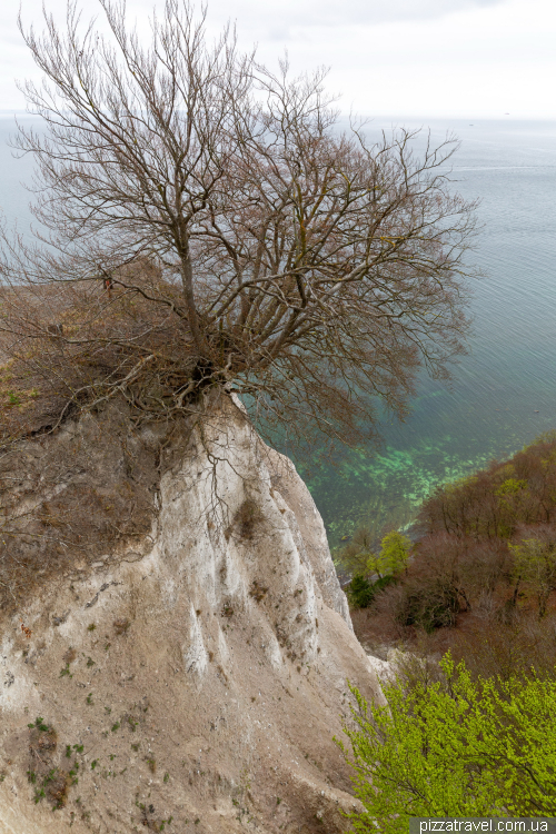 Viewing platform above the chalk rock Königsstuhl