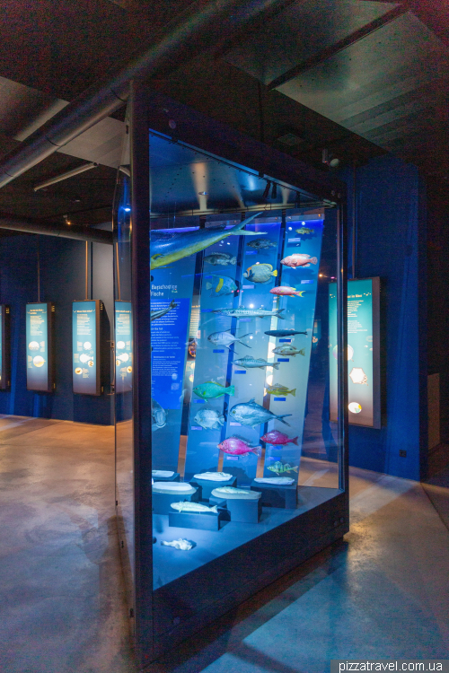 The Oceanarium in Stralsund