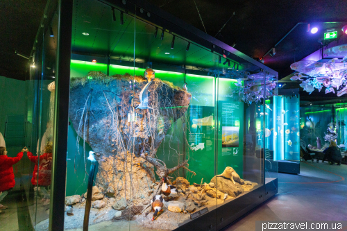 The Oceanarium in Stralsund