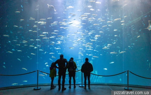 The Oceanarium in Stralsund