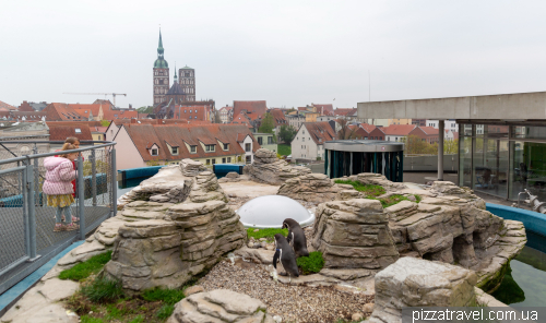 The Oceanarium in Stralsund