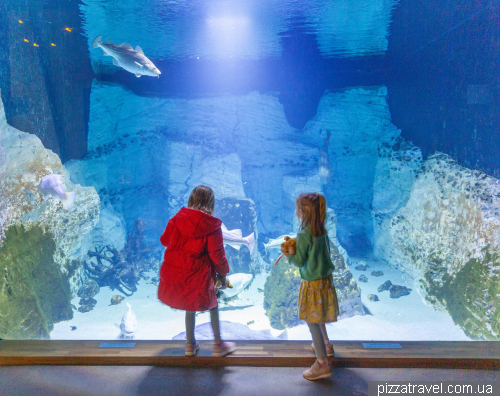 The Oceanarium in Stralsund