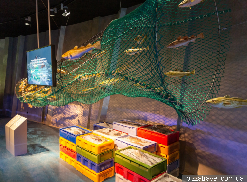 The Oceanarium in Stralsund