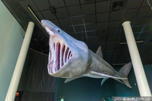 The Oceanarium in Stralsund