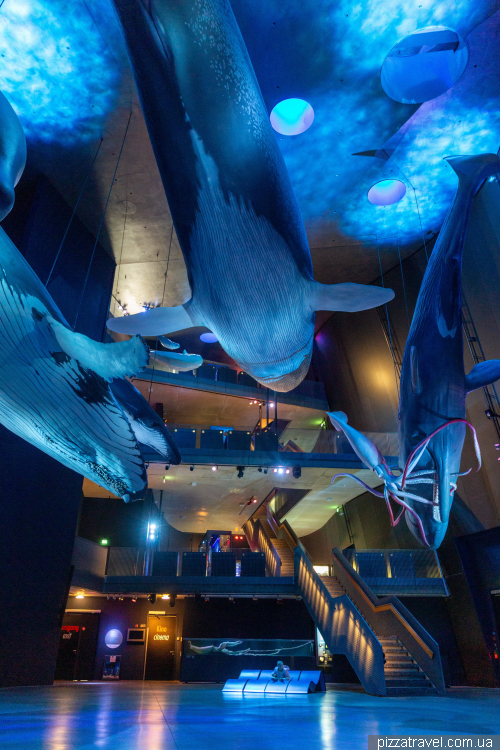 The Oceanarium in Stralsund