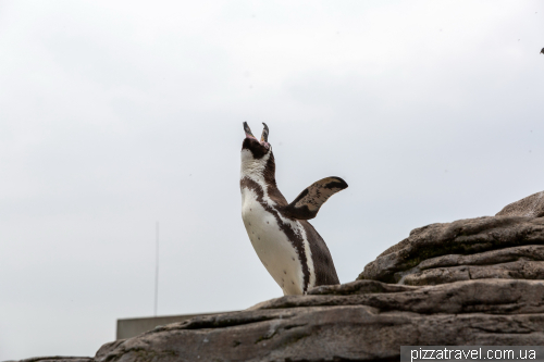 The Oceanarium in Stralsund