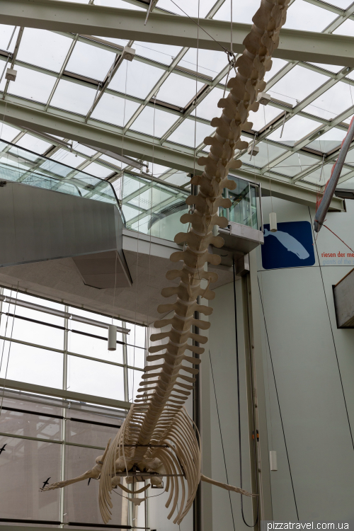 The Oceanarium in Stralsund