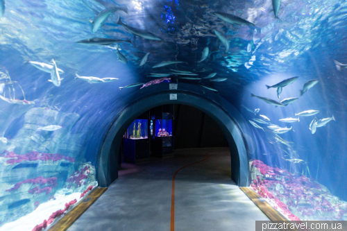 The Oceanarium in Stralsund