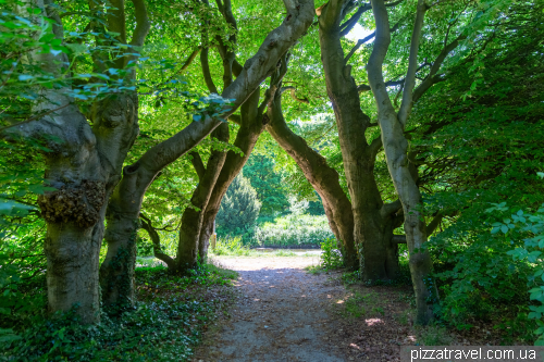 Замок Амеронген (Amerongen)