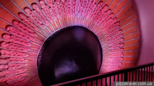 Corpus Museum of the Human Body