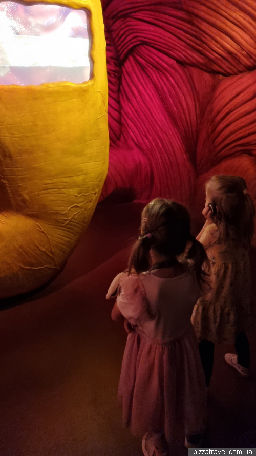Corpus Museum of the Human Body