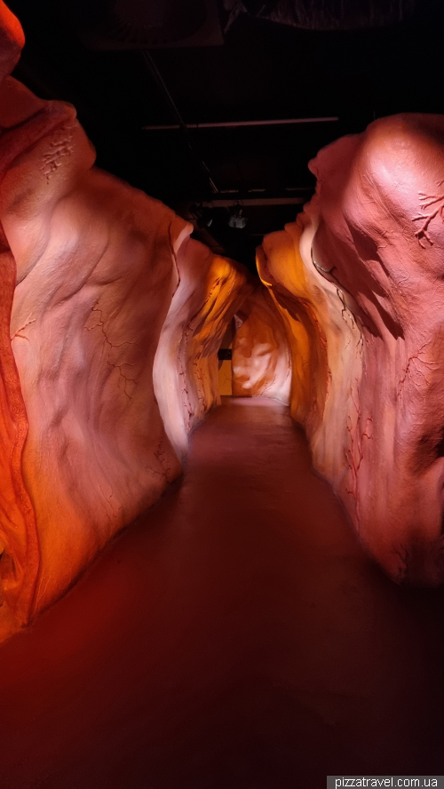 Corpus Museum of the Human Body