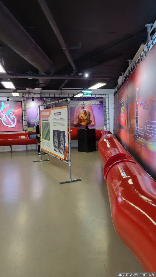 Corpus Museum of the Human Body