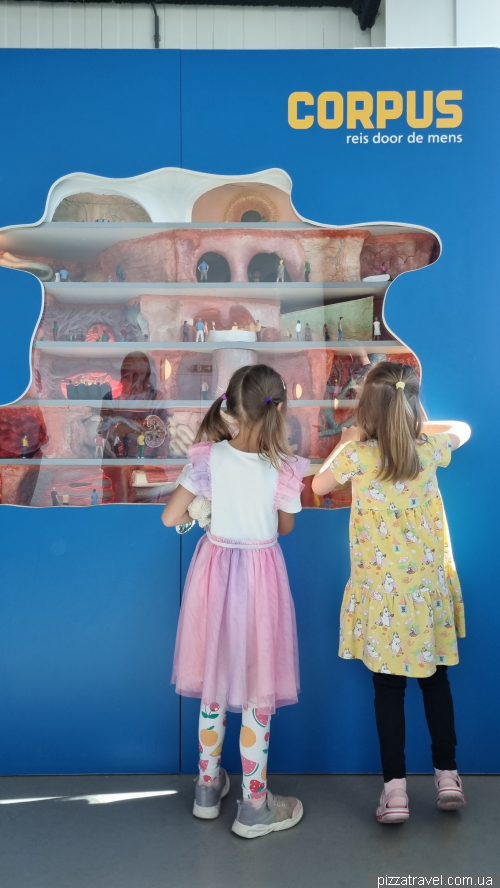 Corpus Museum of the Human Body